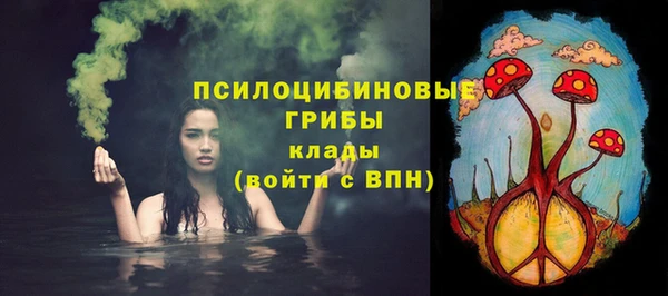 хмурый Няндома