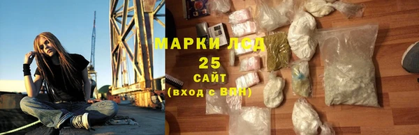 хмурый Няндома