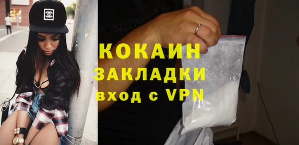 хмурый Няндома