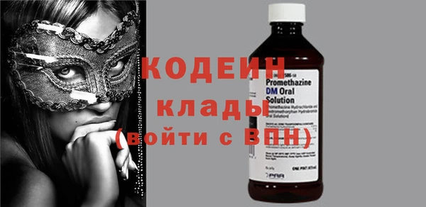 хмурый Няндома