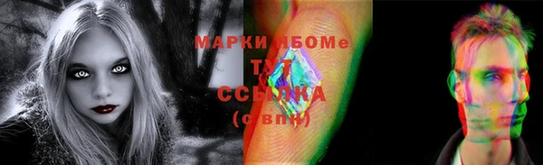 хмурый Няндома