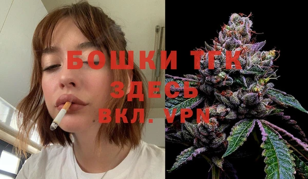 хмурый Няндома