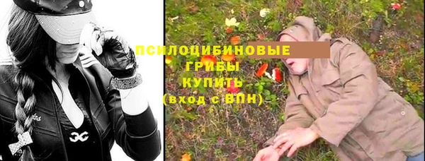 молекула духа Нягань