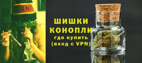 хмурый Няндома