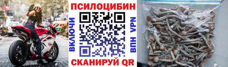 Псилоцибиновые грибы ЛСД  купить  сайты  Рудня 